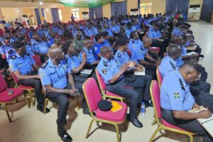 'Don't engage in extortion, human rights abuse, Nigeria's Police DIG warns