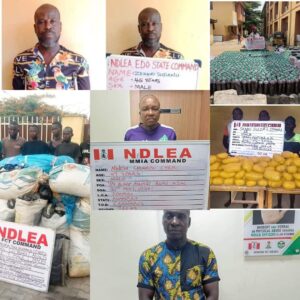 Paris-bound businessman excretes 111 wraps of cocaine in three days