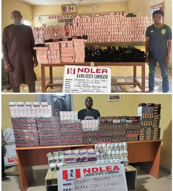NDLEA busts Lagos warehouse, arrests siblings, confiscates drugs worth N4.1b in Aba