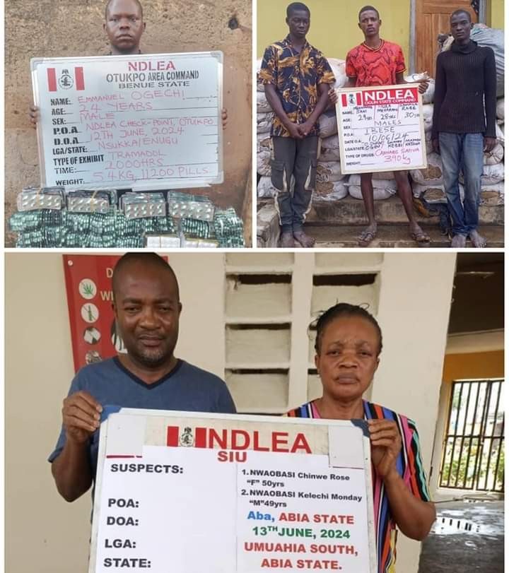 NDLEA busts Lagos warehouse, arrests siblings, confiscates drugs worth N4.1b in Aba