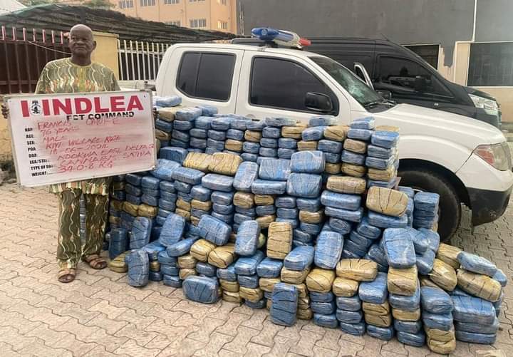 NDLEA busts snake-guarded shrine storing illicit drugs in Edo