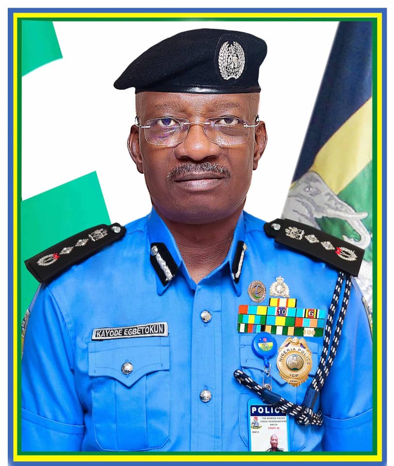 Tinubu Names Tunji Disu Acting IGP After Egbetokun’s Resignation