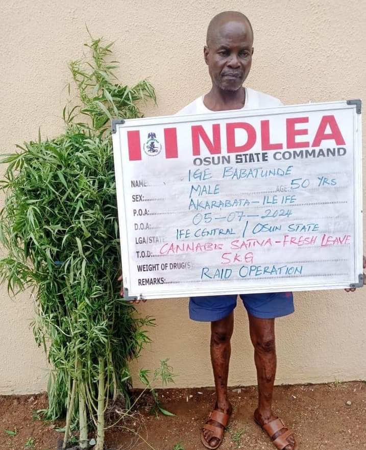 Drug deal: NDLEA nabs monarch, couple, youth corps member