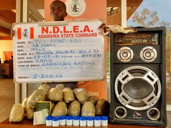 Drug deal: NDLEA nabs monarch, couple, youth corps member
