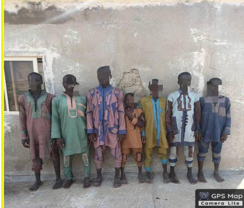 Operation Lake Sanity: 263 more Boko Haram terrorists surrender to MNJTF