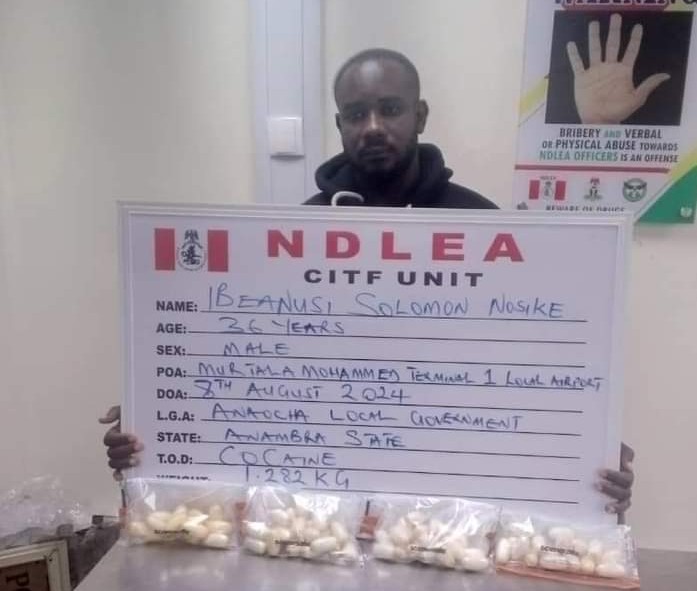 NDLEA smashes 5-member ladies drug trafficking gang
