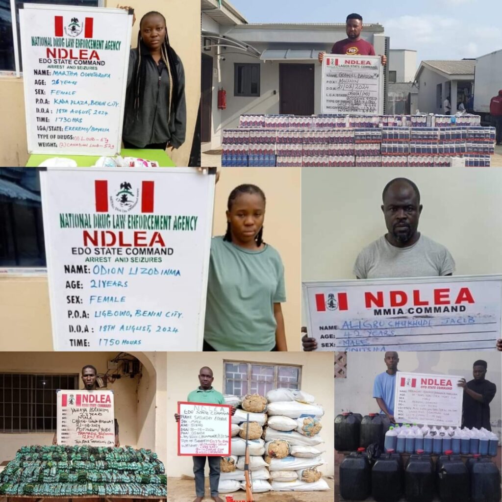 NDLEA smashes 5-member ladies drug trafficking gang