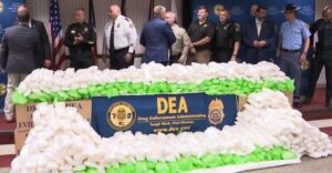 US DEA agents bust 2.3k pounds of drugs, arrest suspect