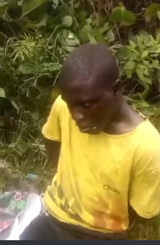 Caught Yam Thief In Ekiti Blames Tinubu For Action