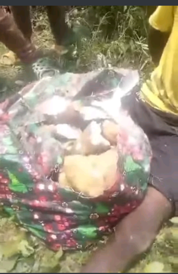 Caught Yam Thief In Ekiti Blames Tinubu For Action