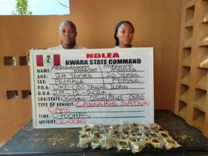 Wanted drug kingpin, Nollywood filmmaker arrested over huge illicit drug shipments