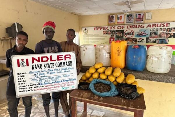 NDLEA intercepts UK-bound illicit drug consignment in duvet at Lagos airport, arrests 2