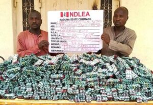 NDLEA Dismantles Trans-Border Drug Cartel, Arrests Four in Onitsha, Keffi