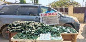 NDLEA Dismantles Trans-Border Drug Cartel, Arrests Four in Onitsha, Keffi