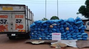 Turkey-bound Businessman Excretes 120 Wraps of Cocaine at Kano Airport