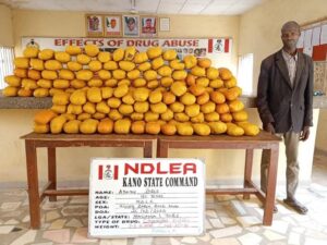 Turkey-bound Businessman Excretes 120 Wraps of Cocaine at Kano Airport