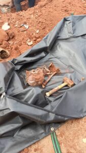 Greed-Driven Killing Shocks Akwukwu Igbo Community In Delta