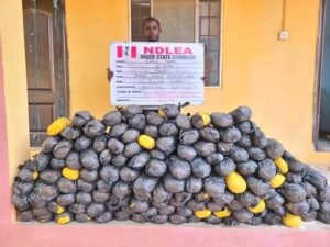 Two Octogenarians Among Suspects Arrested As NDLEA Seizes Opioids Worth Over N3.2b