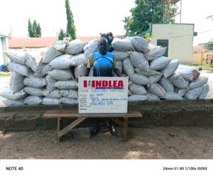 Two Octogenarians Among Suspects Arrested As NDLEA Seizes Opioids Worth Over N3.2b