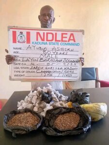 Two Octogenarians Among Suspects Arrested As NDLEA Seizes Opioids Worth Over N3.2b
