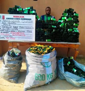 Two Octogenarians Among Suspects Arrested As NDLEA Seizes Opioids Worth Over N3.2b
