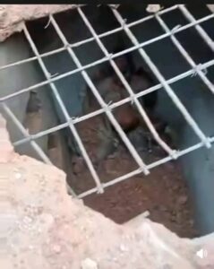 Enugu Ritualist Names Accomplices, Exposes Cult Network (+PHOTOS)