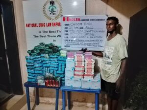 How NDLEA Seized N3.4bn Drugs, Arrested Kingpin In Lagos, PH (+PHOTOS)