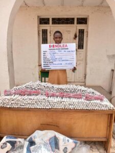 How NDLEA Seized N3.4bn Drugs, Arrested Kingpin In Lagos, PH (+PHOTOS)