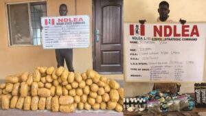NDLEA Nabs Two Britons, Intercepts N6.5bn Worth Of Opioids In Lagos, Rivers