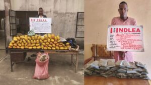 NDLEA Nabs Two Britons, Intercepts N6.5bn Worth Of Opioids In Lagos, Rivers