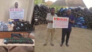 NDLEA Nabs Two Britons, Intercepts N6.5bn Worth Of Opioids In Lagos, Rivers