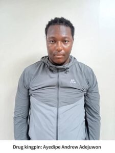 NDLEA Nabs Two Britons, Intercepts N6.5bn Worth Of Opioids In Lagos, Rivers