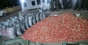 Notorious Gunrunner Arrested As Troops Intercept Truck With Over 164,000 Cartridges (+PHOTOS)