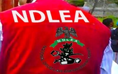 NDLEA Destroys Over 8 Tonnes of Illicit Drugs in Yobe