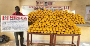 NDLEA Intercepts Saudi, UK-Bound Cocaine In Lipsticks, Property Title Documents