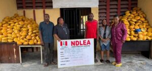 NDLEA Intercepts Saudi, UK-Bound Cocaine In Lipsticks, Property Title Documents