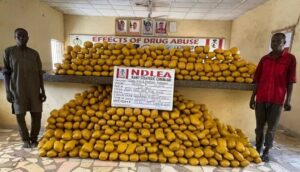 NDLEA Intercepts Saudi, UK-Bound Cocaine In Lipsticks, Property Title Documents
