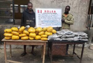 NDLEA Uncovers Cocaine In Lipsticks, Cannabis In Microwaves