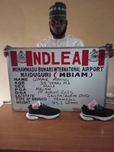 Cocaine, Tramadol Consignments Concealed In Vehicle Side Mirrors Intercepted At Lagos Airport