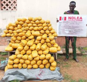 Cocaine, Tramadol Consignments Concealed In Vehicle Side Mirrors Intercepted At Lagos Airport