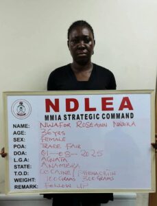 Cocaine, Tramadol Consignments Concealed In Vehicle Side Mirrors Intercepted At Lagos Airport