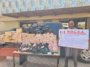 NDLEA Arrests Widow Using Fake Pregnancy to Traffic Cocaine
