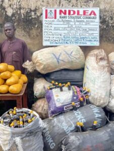 NDLEA Nabs 75-Year-Old Grandpa, Busts Drug Farms, Trafficking Rings Nationwide