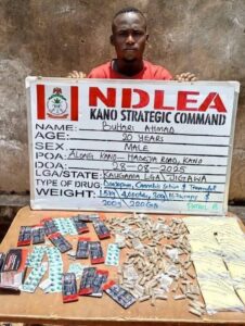 NDLEA Nabs 75-Year-Old Grandpa, Busts Drug Farms, Trafficking Rings Nationwide