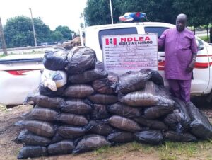 NDLEA Smashes Global Drug Cartel, Arrests Kingpins Across Nigeria