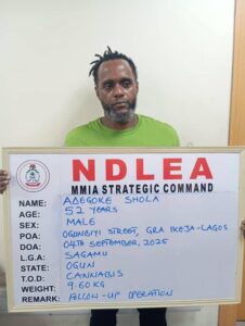 NDLEA Smashes Global Drug Cartel, Arrests Kingpins Across Nigeria