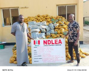 NDLEA Smashes Global Drug Cartel, Arrests Kingpins Across Nigeria