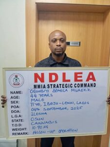 NDLEA Smashes Global Drug Cartel, Arrests Kingpins Across Nigeria