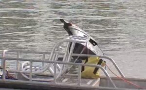 Woman Rescued From Sinking Car In Texas