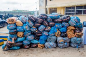 FCT Police Nab 11 Suspected Drug Dealers, Seize 68 Bags Of Cannabis